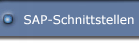 SAP-Schnittstellen